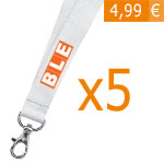 Bild 5 x Schlüsselanhänger mit BLE-Logo